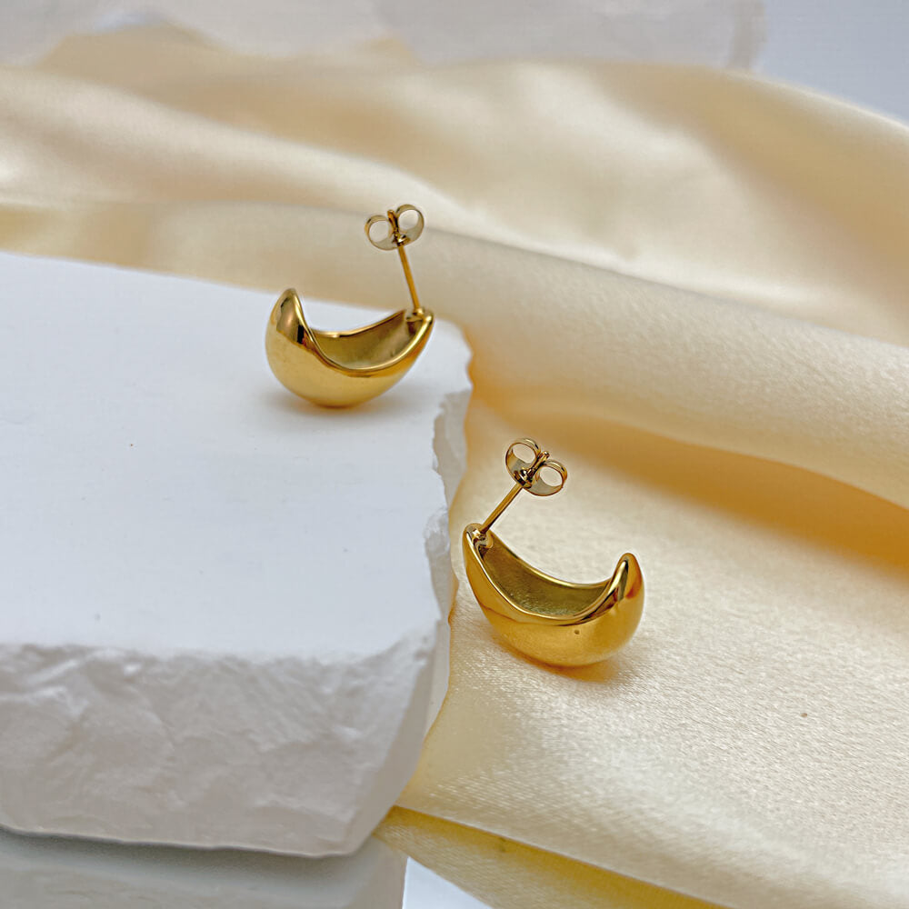 AG Gold Cute & Smart Dolphin Stainless Steel Earrings - AGCHEN JEWELRY,earrings