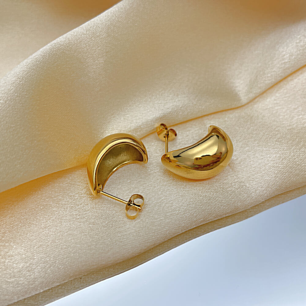 AG Gold Cute & Smart Dolphin Stainless Steel Earrings - AGCHEN JEWELRY,earrings