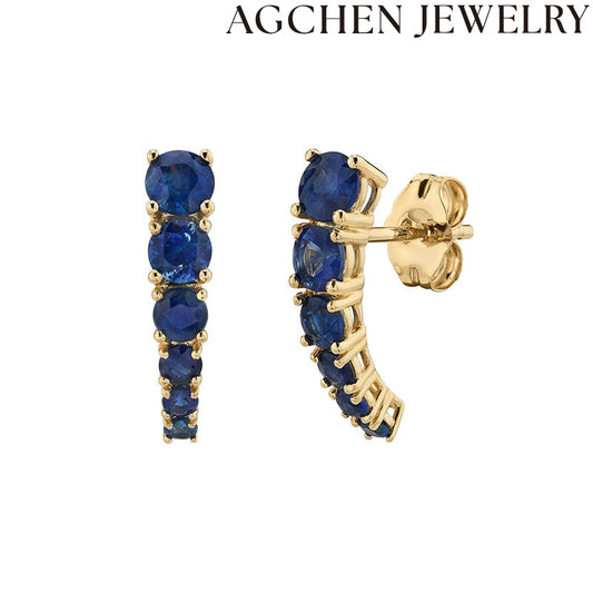 AG Delicate Midnight Zirconia Teardrop Earrings